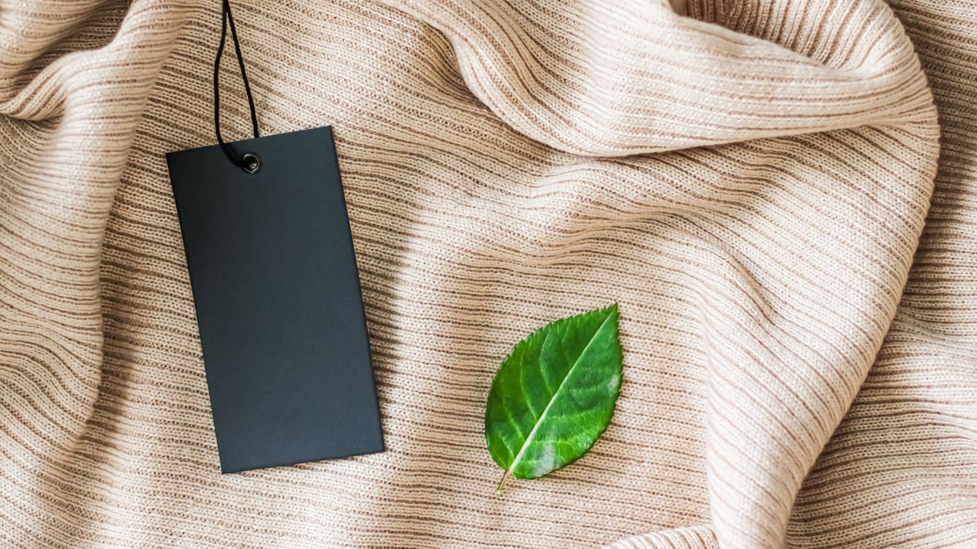 marca studio sustainable fasion